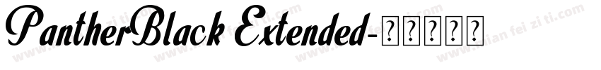 PantherBlack Extended字体转换
